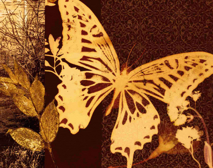 Kompatibelt djur till Jahrriesnge butterfly lpf10559 Kompatibelt djur Jahrriesnge till butterfly lpf10559