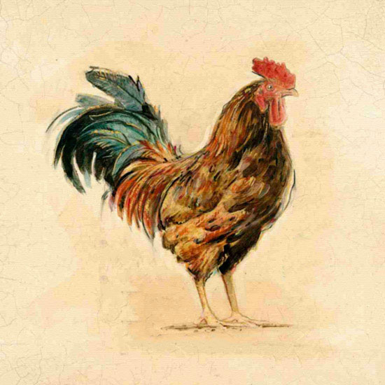 Kompatibelt djur till Jahrriesnge cock lpf10564 Kompatibelt djur Jahrriesnge till cock lpf10564