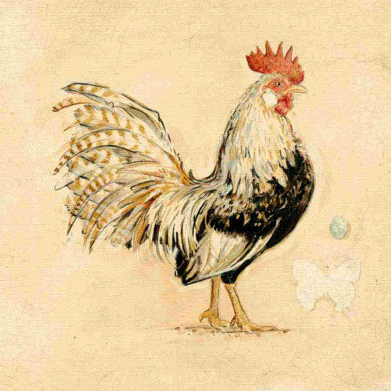 Kompatibelt djur till Jahrriesnge cock lpf10565 Kompatibelt djur Jahrriesnge till cock lpf10565