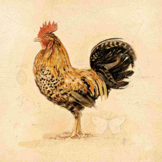 Kompatibelt djur till Jahrriesnge cock lpf10566 Kompatibelt djur Jahrriesnge till cock lpf10566