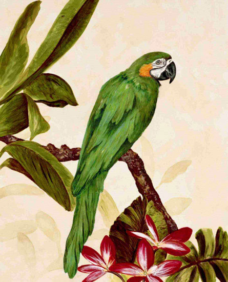 Kompatibelt djur till Jahrriesnge macaw lpf10596 Kompatibelt djur Jahrriesnge till macaw lpf10596