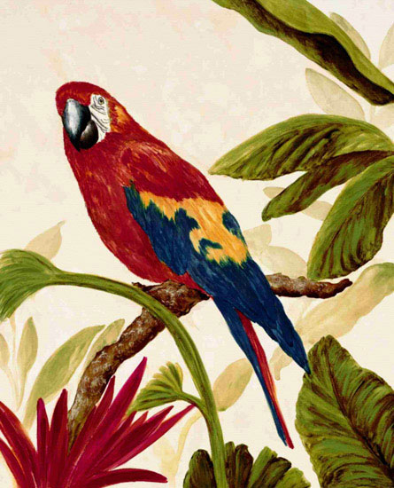 Kompatibelt djur till Jahrriesnge macaw lpf10597 Kompatibelt djur Jahrriesnge till macaw lpf10597