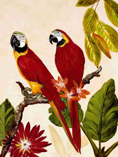 Kompatibelt djur till Jahrriesnge macaw lpf10599 Kompatibelt djur Jahrriesnge till macaw lpf10599