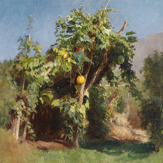 Kompatibelt Fortfarande liv till Jahrriesnge fruits lpf13493 Kompatibelt Fortfarande liv Jahrriesnge till fruits lpf13493