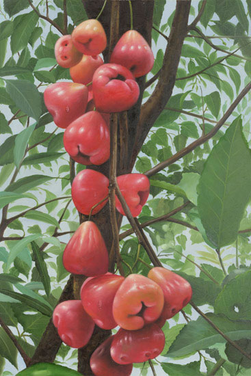 Kompatibelt Fortfarande liv till Jahrriesnge fruits lpf13649 Kompatibelt Fortfarande liv Jahrriesnge till fruits lpf13649