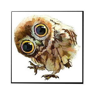 Kompatibelt djur till Jahrriesnge owl-lpg0514 Kompatibelt djur Jahrriesnge till owl-lpg0514