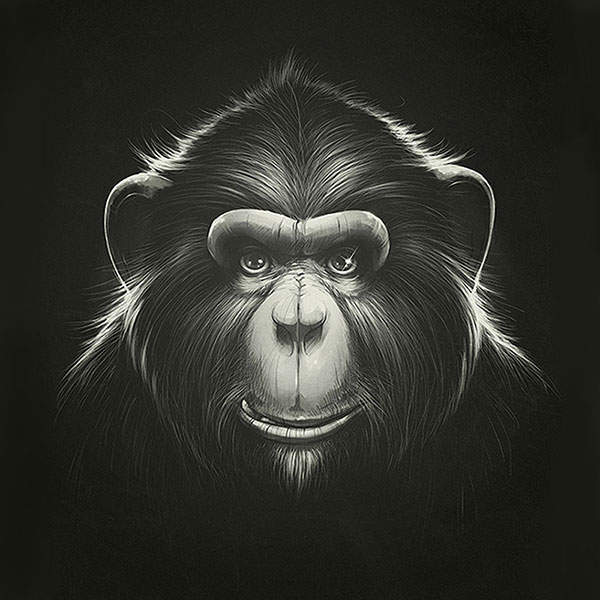 Kompatibelt djur till Jahrriesnge monkey-lpg0531 Kompatibelt djur Jahrriesnge till monkey-lpg0531