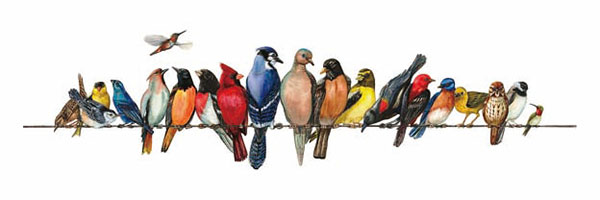 Kompatibelt djur till Jahrriesnge birds-song-lpg1000 Kompatibelt djur Jahrriesnge till birds-song-lpg1000