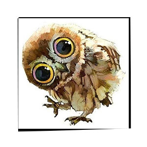 Kompatibelt djur till Jahrriesnge owl-lpg1569 Kompatibelt djur Jahrriesnge till owl-lpg1569