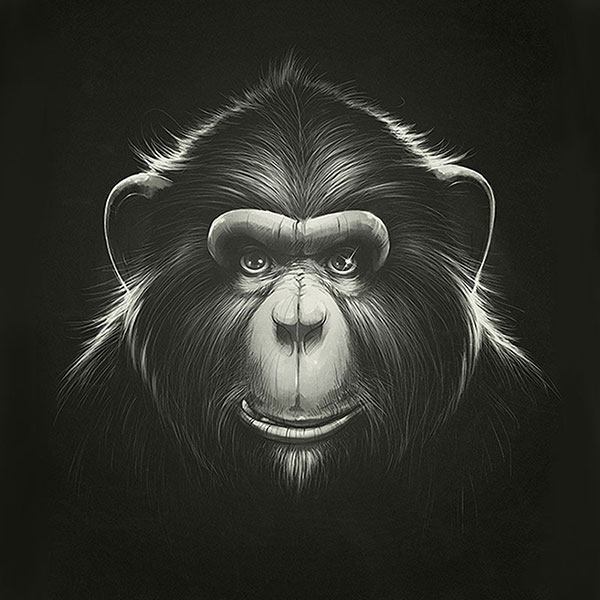 Kompatibelt djur till Jahrriesnge monkey-lpg1627 Kompatibelt djur Jahrriesnge till monkey-lpg1627