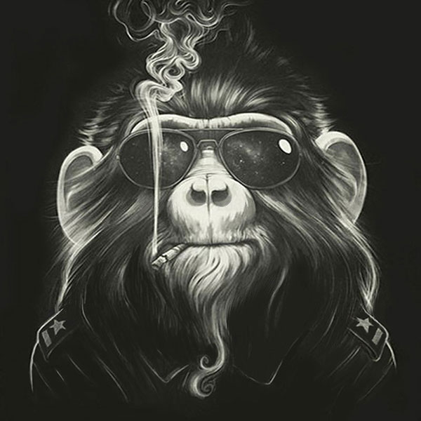 Kompatibelt djur till Jahrriesnge monkey-lpg1632 Kompatibelt djur Jahrriesnge till monkey-lpg1632