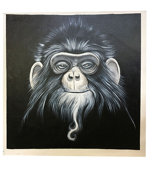 Kompatibelt djur till Jahrriesnge monkey lpg2712 Kompatibelt djur Jahrriesnge till monkey lpg2712